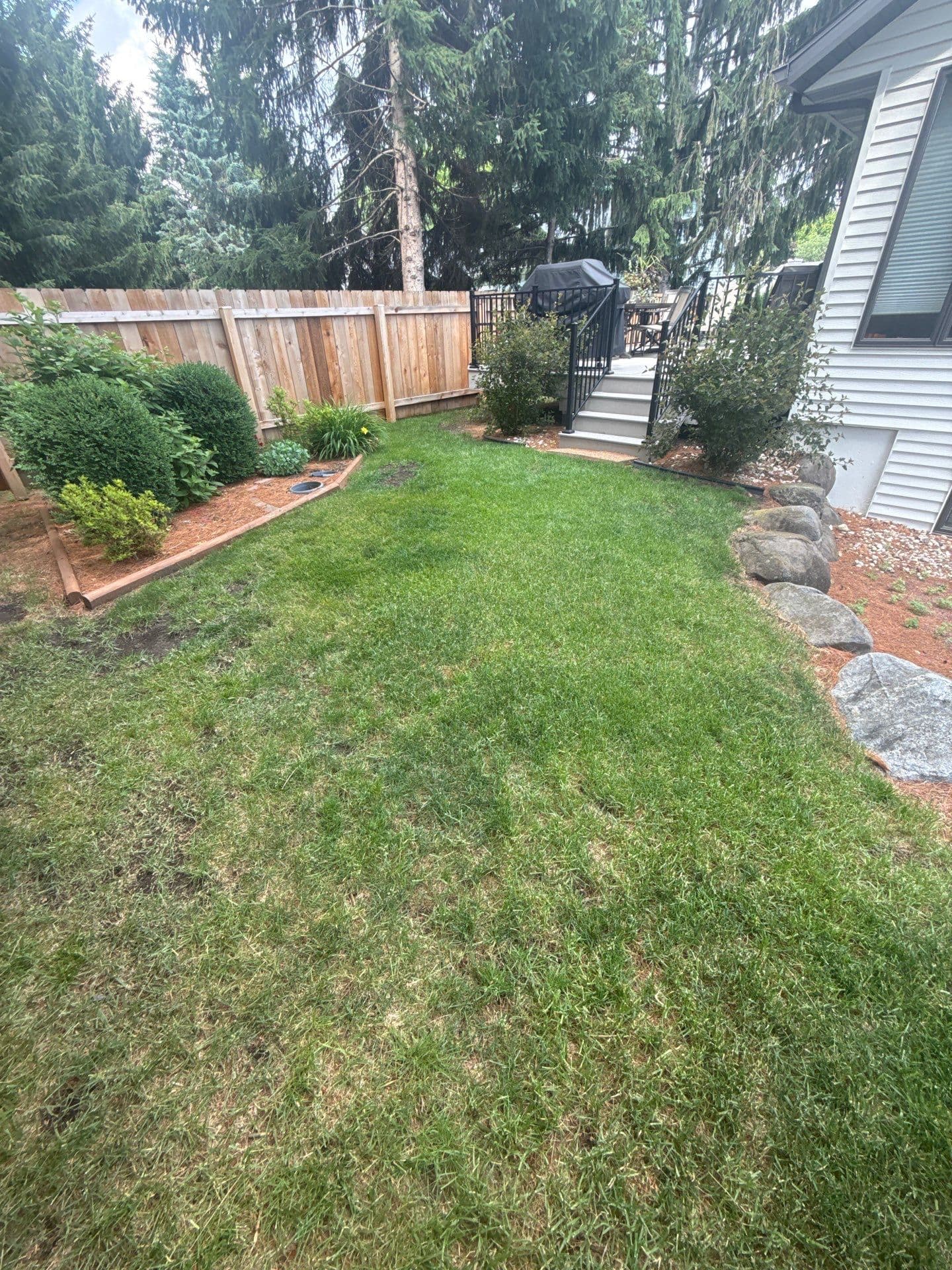 Gallery photos for Clean Paver Patio and Low-Maintenance Backyard Done Right: Image #1